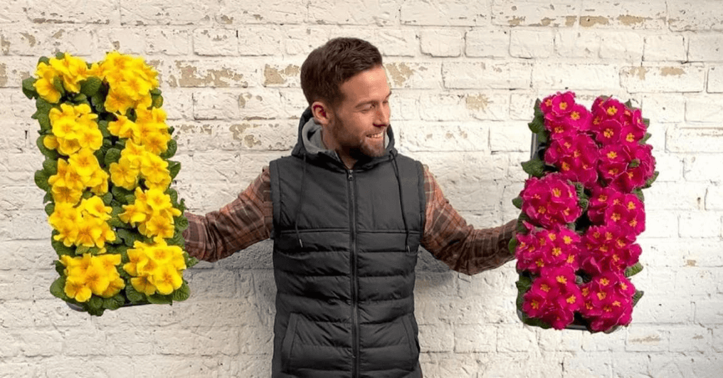 Flower Power: Blumenladen erhält durch Instagram Reels über 50.000 Follower*innen 