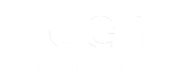 Deutsche Energie-Agentur dena Logo