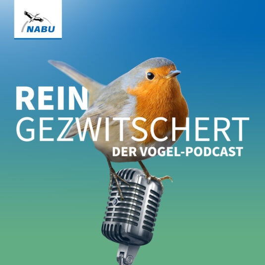 Cover Artwork NABU Vogel-Podcast Reingezwitschert