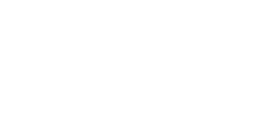 Pro Inklusio Logo