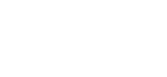 Pro Inklusio Logo